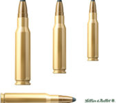 Cartus Sellier & Bellot Calibrul 308WIN/Teilmantel/11.7 G